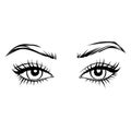 Vector Hand drawn beautiful female eyes with long black eyelashes and brows. Royalty Free Stock Photo