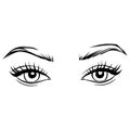 Vector Hand drawn beautiful female eyes with long black eyelashes and brows. Royalty Free Stock Photo
