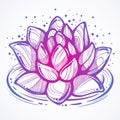 Vector hand-drawn beautiful illustration of Lotus flower on the water. High-detailed trendy artwork isolated. Tattoo element.