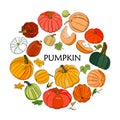 Vector hand drawn big set of colorful pumpkins, Royalty Free Stock Photo