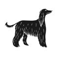 Vector hand drawn black Afghan hound dog Royalty Free Stock Photo