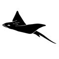 Vector hand drawn black devil fish skate fish Royalty Free Stock Photo