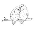 Vector hand drawn black lovebirds parrots pair Royalty Free Stock Photo