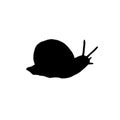 Vector hand drawn black snail silhouette