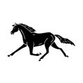 Vector hand drawn black trotter horse