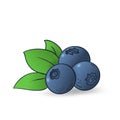 Vector hand drawn blueberry Royalty Free Stock Photo