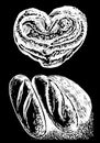 Vector hand-drawn bun and bread loaves on black , bakery and gastronomy elements of design