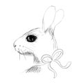 Vector hand drawn bunny hare with ribbon. Sketch drawing adorable animal. Easter hare, rabbit