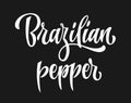 Vector hand drawn calligraphy style lettering word - Brazilian pepper.