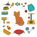 Vector hand drawn cat care things