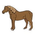 Vector hand drawn colored draft horse Royalty Free Stock Photo