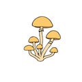 Vector hand drawn colored honey mushroom