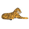 Vector hand drawn colored lying tiger