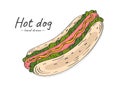 Sketch juicy american hot dog with sausage, mustard and lettuce. Royalty Free Stock Photo