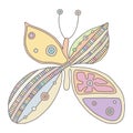 Vector hand drawn colorful illustration of isolated butterfly with decorative geometrical elements, lines, dots. Picture for Royalty Free Stock Photo