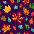 A Vector Hand Drawn Colorful, Vibrant Fall Leaves on a Purple Background. A fall background for the prints, wrapping paper, fabri Royalty Free Stock Photo