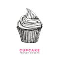 Vector hand drawn cupcake Illustration.