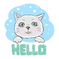 Vector hand drawn cute cat face saying Hello. Vector illustration with lettering on white background Royalty Free Stock Photo