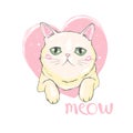Vector hand drawn cute cat`s face saying Hello. Isolated illustration with lettering on white background Royalty Free Stock Photo