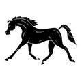 Vector hand drawn doodle black Arabian horse