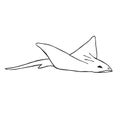 Vector hand drawn doodle devil fish skate fish Royalty Free Stock Photo