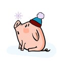 Vector hand drawn doodle illustration of new year winter piglet with a snowflake and 2019