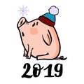 Vector hand drawn doodle illustration of new year winter piglet with a snowflake and 2019