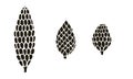 Vector hand drawn doodle illustration of pine or fir conifer cone set Royalty Free Stock Photo