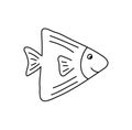 Vector hand drawn doodle image of fish in monoline scandinavian style. Image for label, web, icon, postcard, decoration