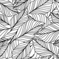 Vector hand drawn doodle leaves seamless pattern. Abstract autumn Royalty Free Stock Photo