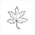 Vector hand drawn doodle maple leaf icon. Royalty Free Stock Photo