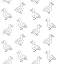 Vector hand drawn doodle sketch baby duckling duck