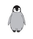 Vector hand drawn doodle sketch baby penguin