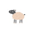 Vector hand drawn doodle sketch beige sheep