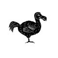 Vector hand drawn doodle sketch black dodo bird Royalty Free Stock Photo