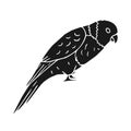 Vector hand drawn doodle sketch black lory parrot Royalty Free Stock Photo