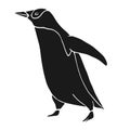 Vector hand drawn doodle sketch black penguin