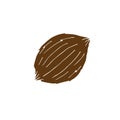 Vector hand drawn doodle sketch brown coconut