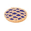 Vector hand drawn doodle sketch colored pie tart