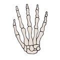 Vector hand drawn doodle colored skeleton hand