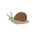 Vector hand drawn doodle sketch colored snail Royalty Free Stock Photo