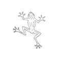 Vector hand drawn doodle sketch frog