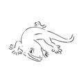 Vector hand drawn doodle sketch gecko lizard isolated on white background. Gecko animal, vector sketch illustration Royalty Free Stock Photo
