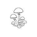 Vector hand drawn doodle sketch honey mushroom