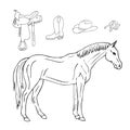 Vector hand drawn doodle sketch horse Royalty Free Stock Photo