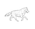 Vector hand drawn doodle sketch running husky dog