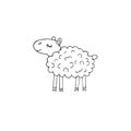 Vector hand drawn doodle sketch sheep