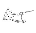 Vector hand drawn doodle skate fish devil fish Royalty Free Stock Photo