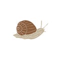 Vector hand drawn doodle sketch snail Royalty Free Stock Photo