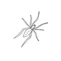 Vector hand drawn doodle sketch spider